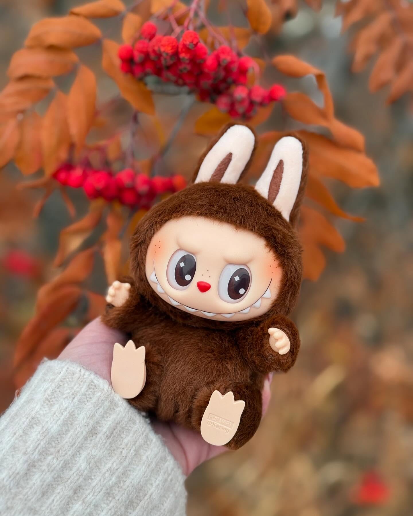 Labubu DUODUO Image