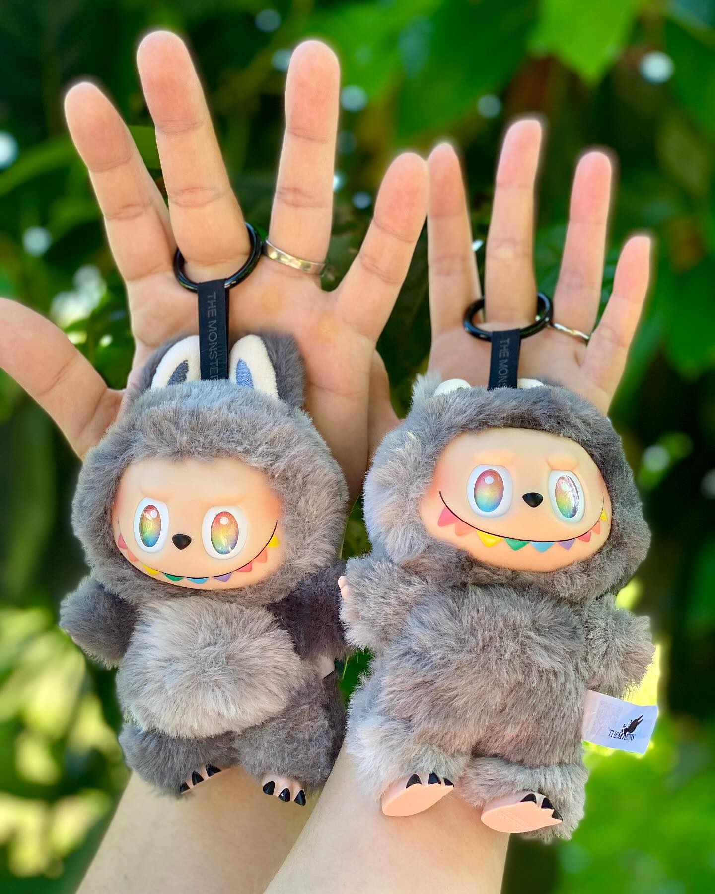 Labubu Id Image