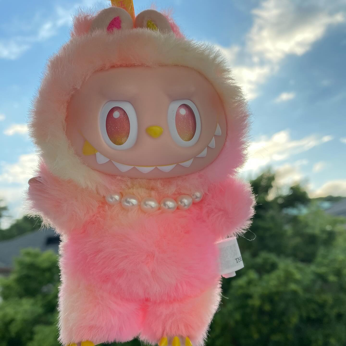 Labubu Loyalty Image